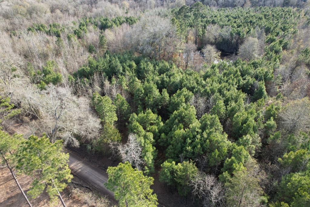 Tract D County Road 4037, Timpson, Texas image 8