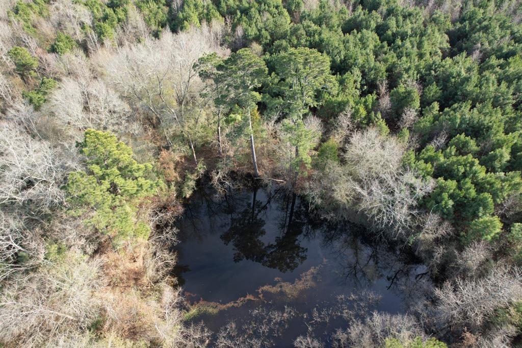 Tract D County Road 4037, Timpson, Texas image 3