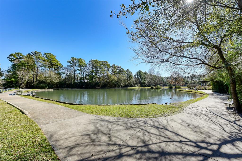 3500 Tangle Brush Drive #84, The Woodlands, Texas image 21