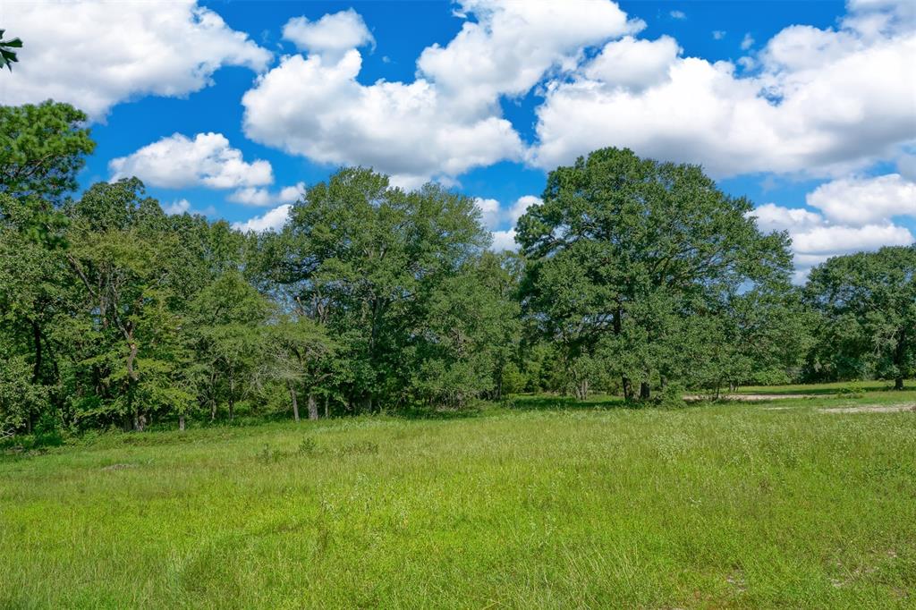 31104 Courtney Rd, Navasota, Texas image 13