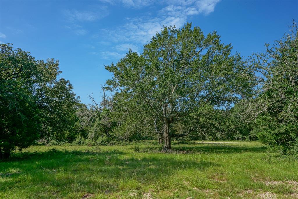 31104 Courtney Rd, Navasota, Texas image 12