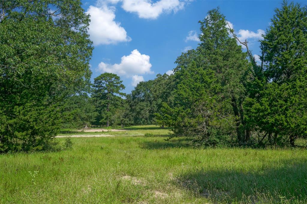 31104 Courtney Rd, Navasota, Texas image 7