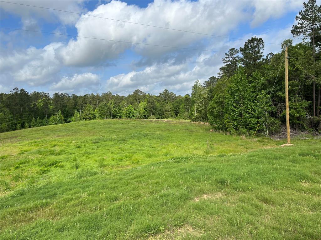 2679 Oakdale Loop Loop, Livingston, Texas image 2