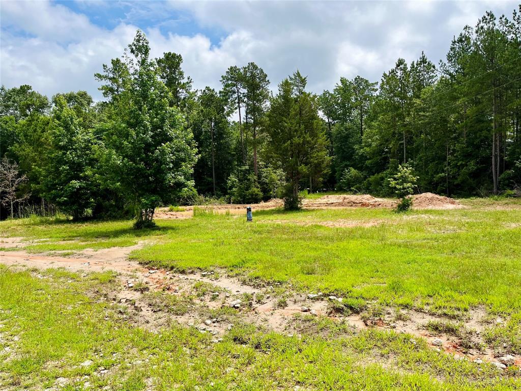 2679 Oakdale Loop Loop, Livingston, Texas image 36