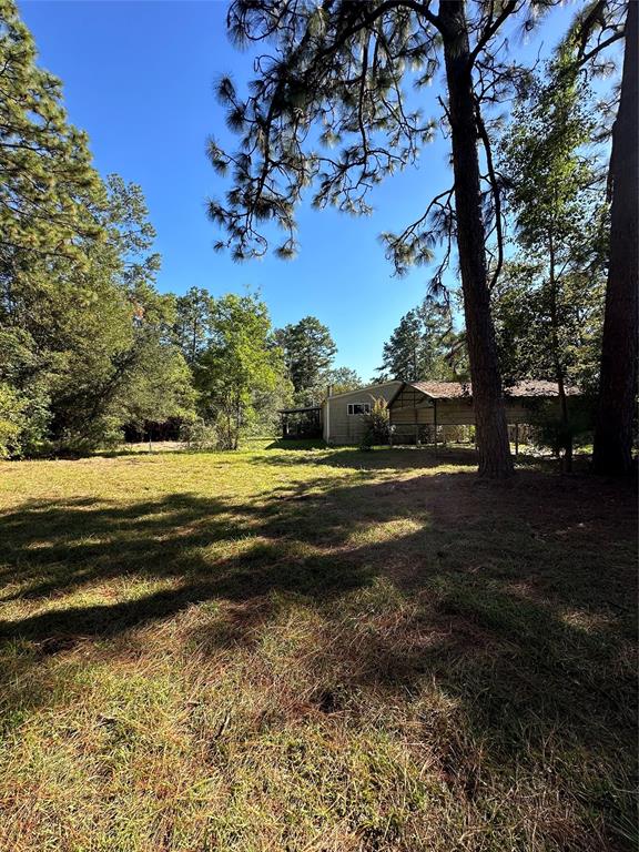 4064 Griffin Grove Street, Silsbee, Texas image 5