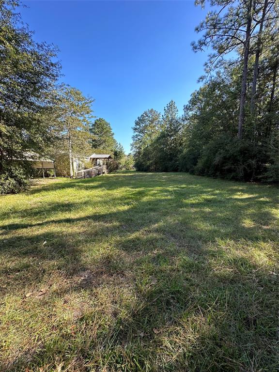 4064 Griffin Grove Street, Silsbee, Texas image 4