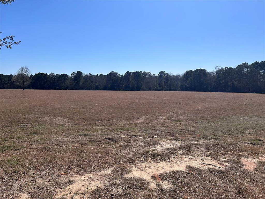 TBD Royal Oak Drive Lot 138, Hillister, Texas image 1