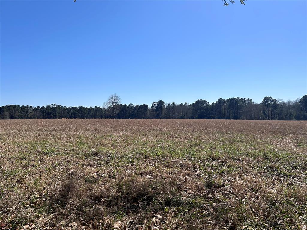 TBD Royal Oak Drive Lot 138, Hillister, Texas image 5