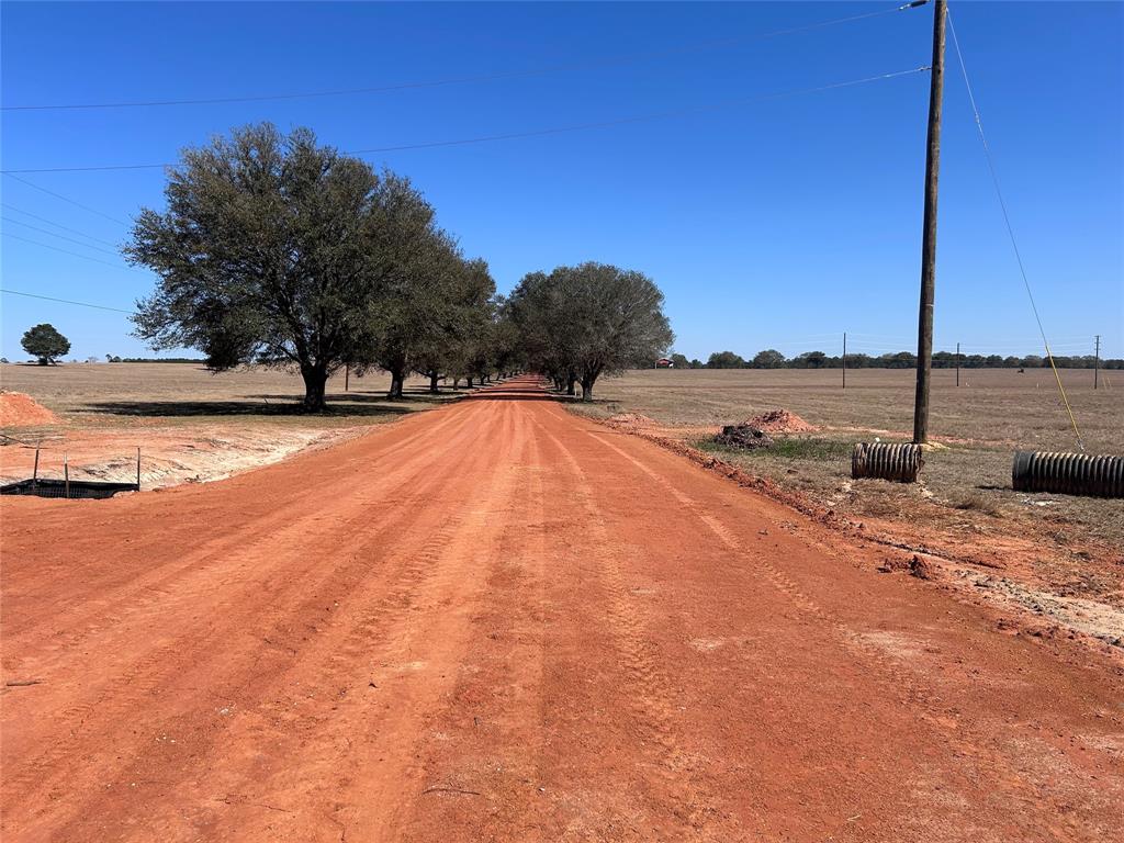TBD Royal Oak Drive Lot 138, Hillister, Texas image 7