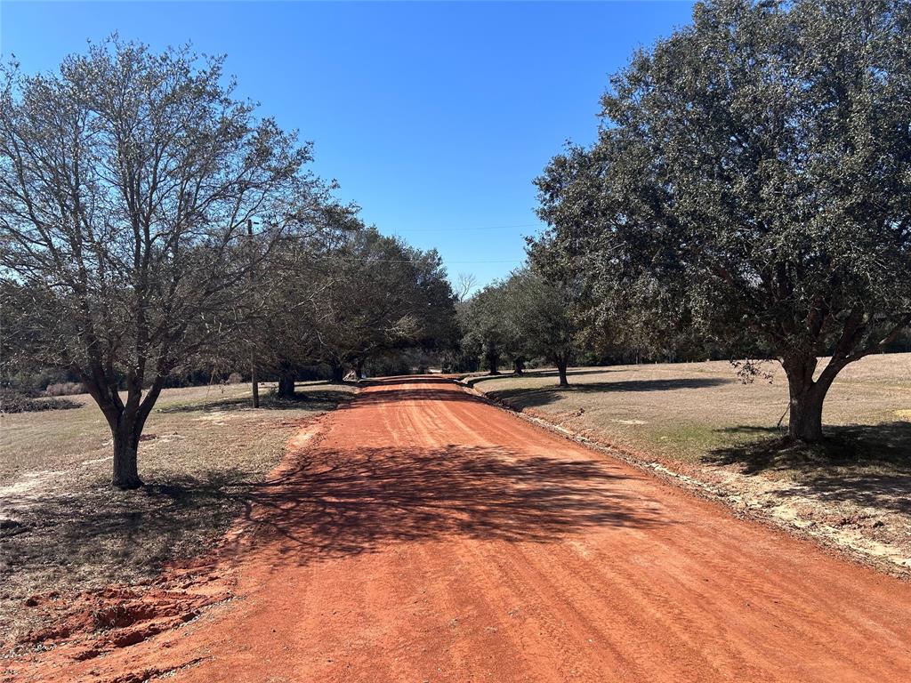 TBD Royal Oak Drive Lot 138, Hillister, Texas image 8