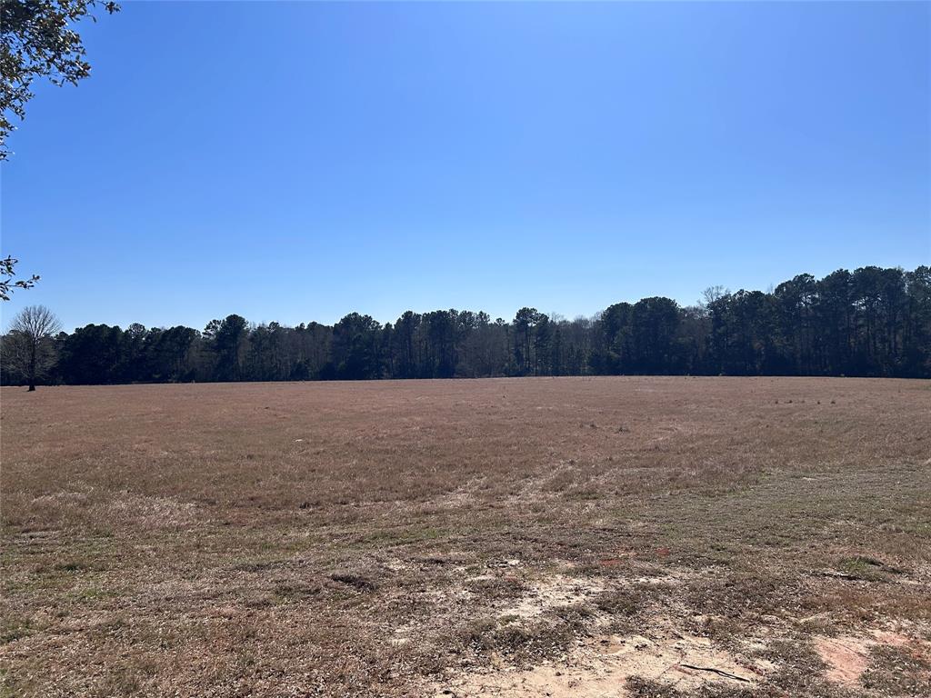 TBD Royal Oak Drive Lot 138, Hillister, Texas image 3
