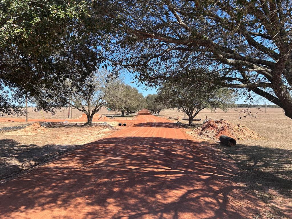 TBD Royal Oak Drive Lot 138, Hillister, Texas image 4