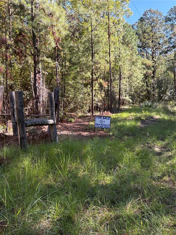 1843 Sullivan Road, Corrigan, Texas image 11