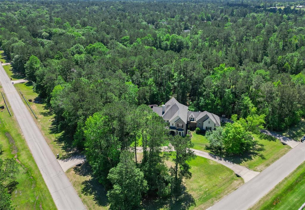 15557 Crown Oaks Drive, Montgomery, Texas image 46