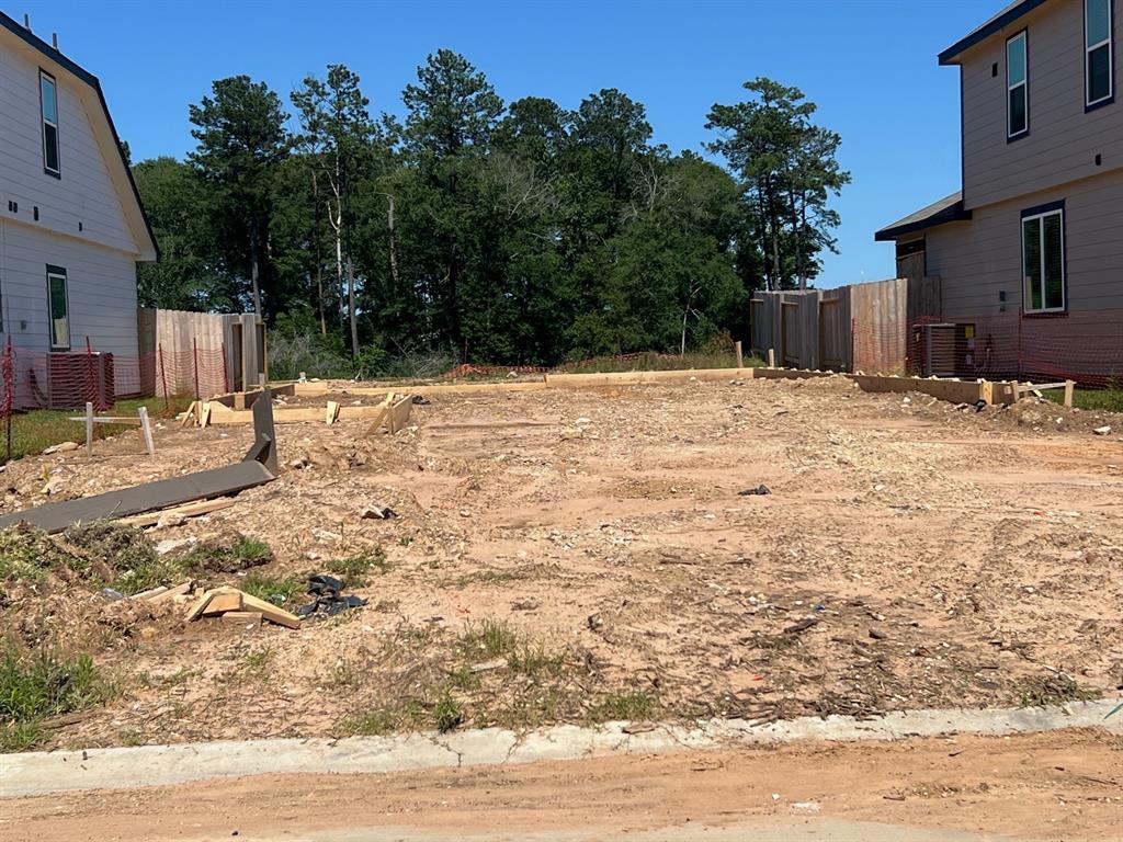 2339 East Chunk Drive, Conroe, Texas image 2