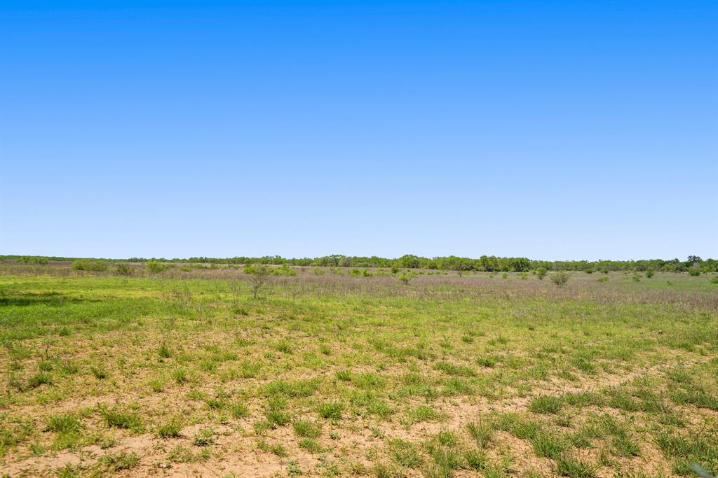 TBD Tract 4, Cr 329, Jourdanton, Texas image 8
