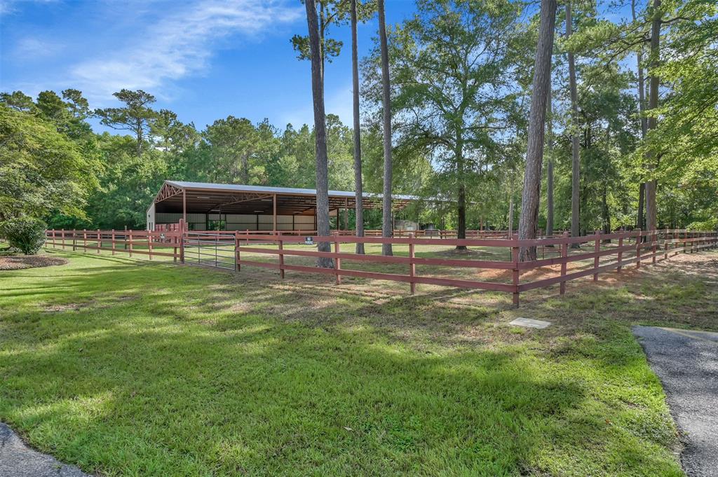 18993 Ferne Drive, Porter, Texas image 9