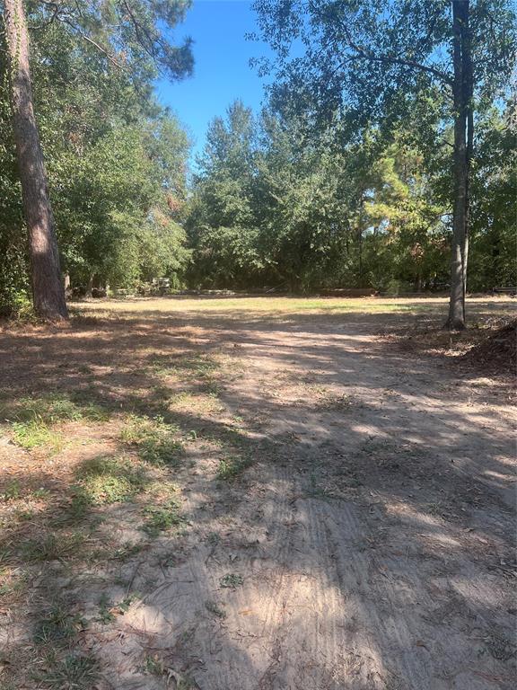 Witt Circle Road, Spring, Texas image 1