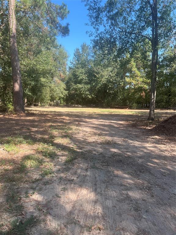 Witt Circle Road, Spring, Texas image 3