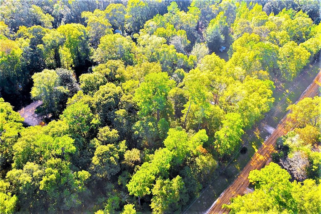 Lot 13 Johnnie Horton, Livingston, Texas image 8