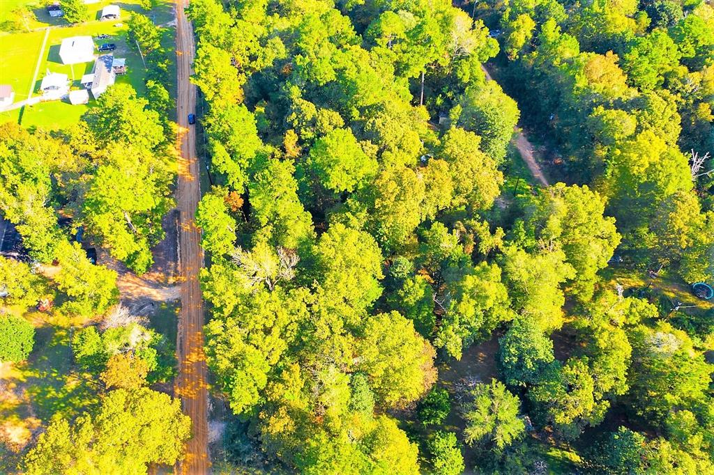 Lot 13 Johnnie Horton, Livingston, Texas image 10