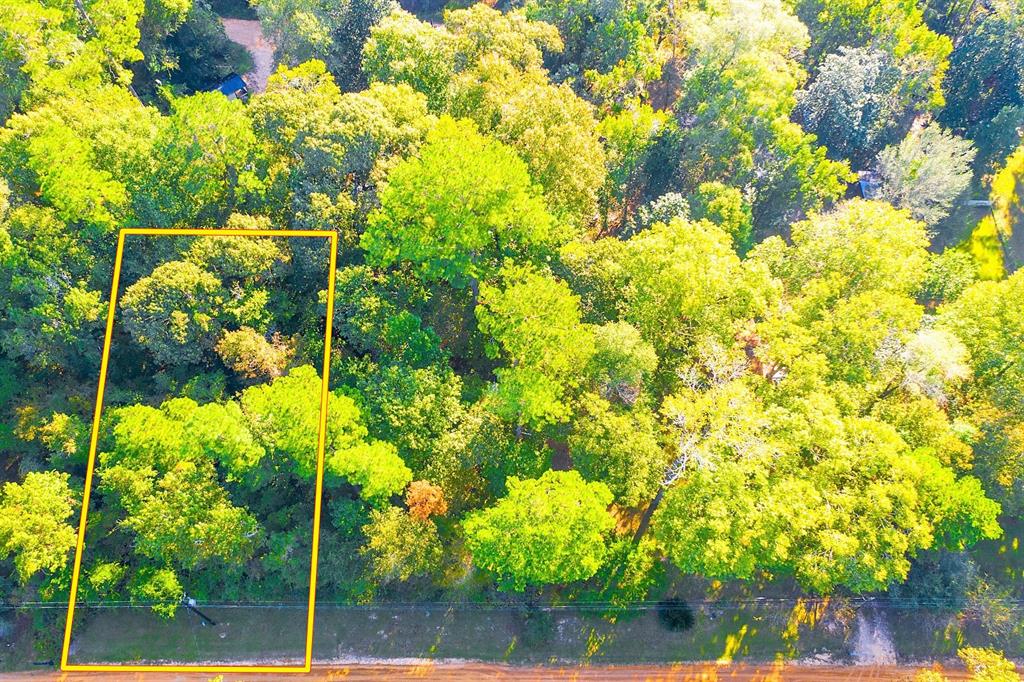 Lot 13 Johnnie Horton, Livingston, Texas image 2
