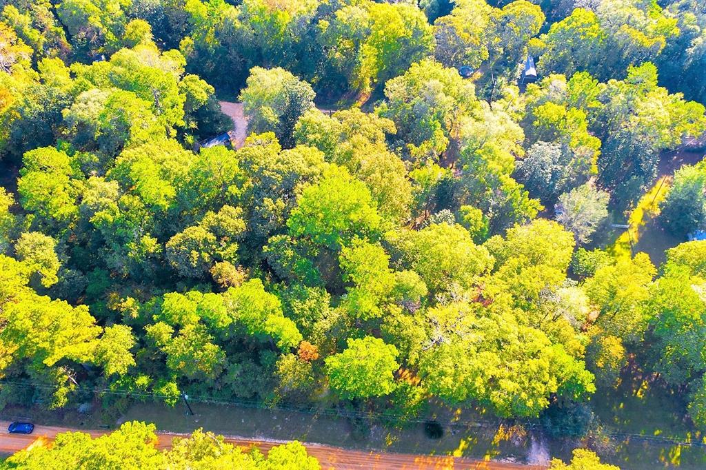 Lot 13 Johnnie Horton, Livingston, Texas image 14