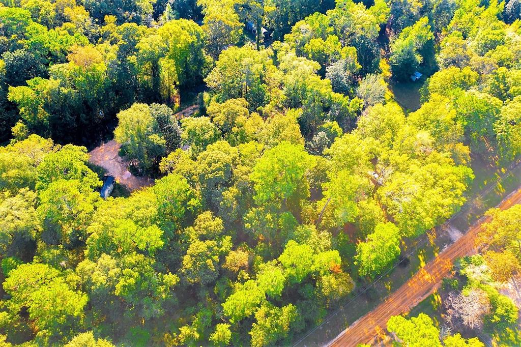 Lot 13 Johnnie Horton, Livingston, Texas image 13