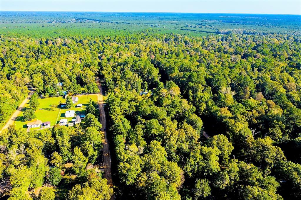 Lot 13 Johnnie Horton, Livingston, Texas image 15