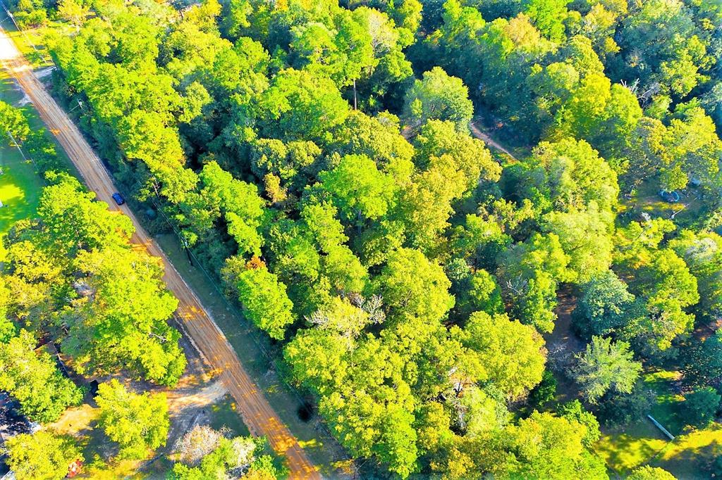 Lot 13 Johnnie Horton, Livingston, Texas image 9