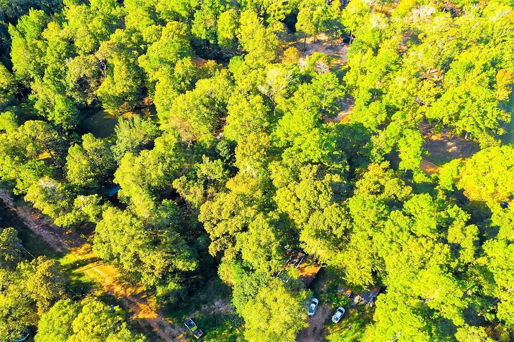 Lot 13 Johnnie Horton, Livingston, Texas image 12