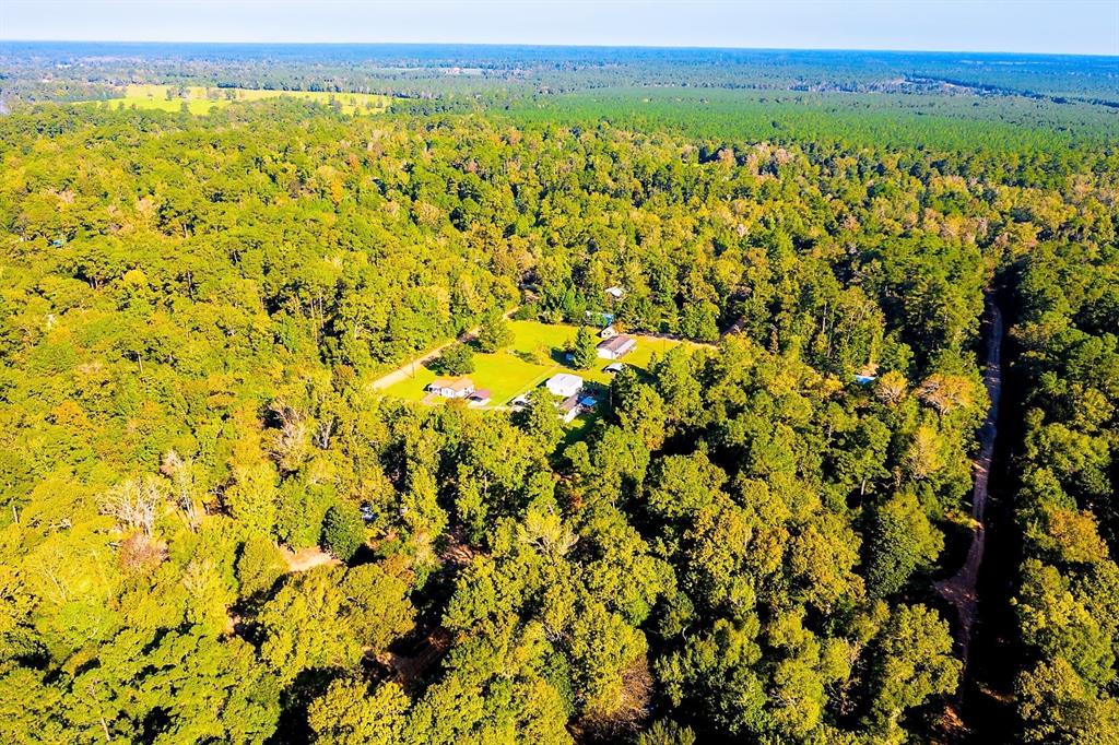 Lot 13 Johnnie Horton, Livingston, Texas image 16