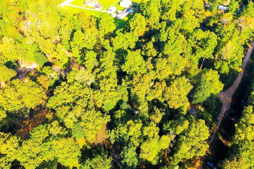 Lot 13 Johnnie Horton, Livingston, Texas image 11