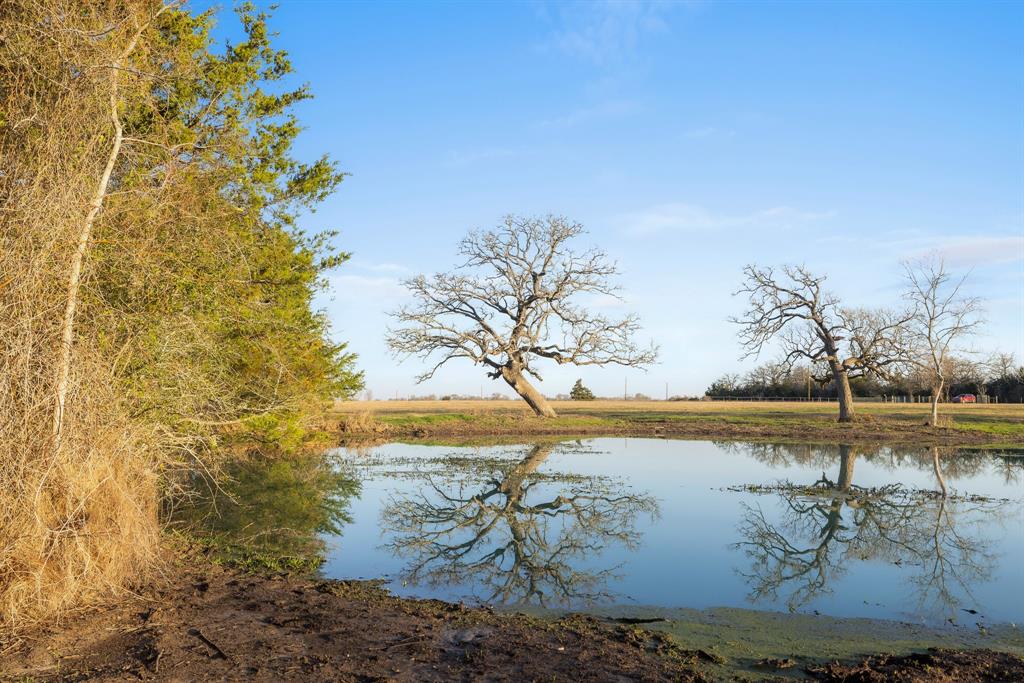 3.514 Ac (Lot 2S) County Road 410, Somerville, Texas image 2