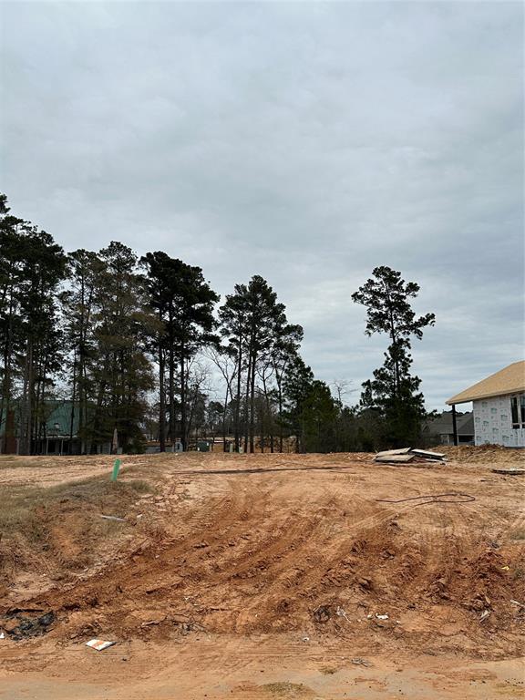 1020 Shoal Creek Trail, Conroe, Texas image 3