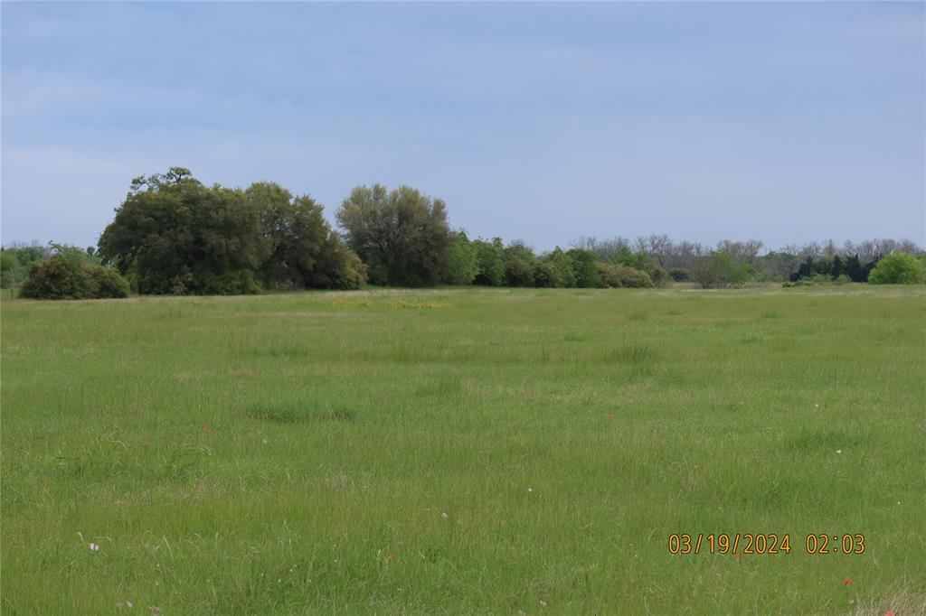 1030 Sh 71, Columbus, Texas image 21