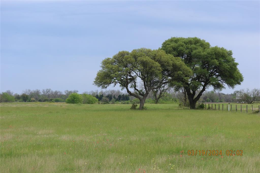 1030 Sh 71, Columbus, Texas image 18