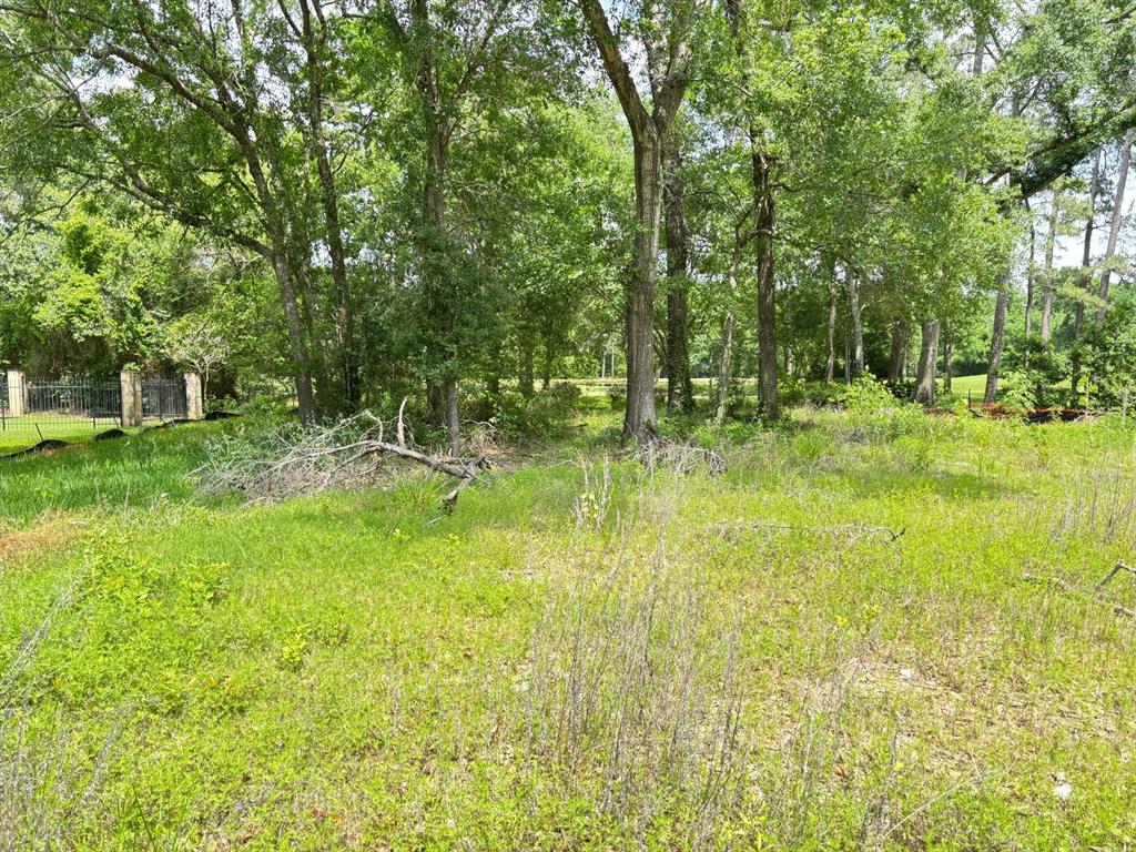 10816 Colony Wood Place, Spring, Texas image 4