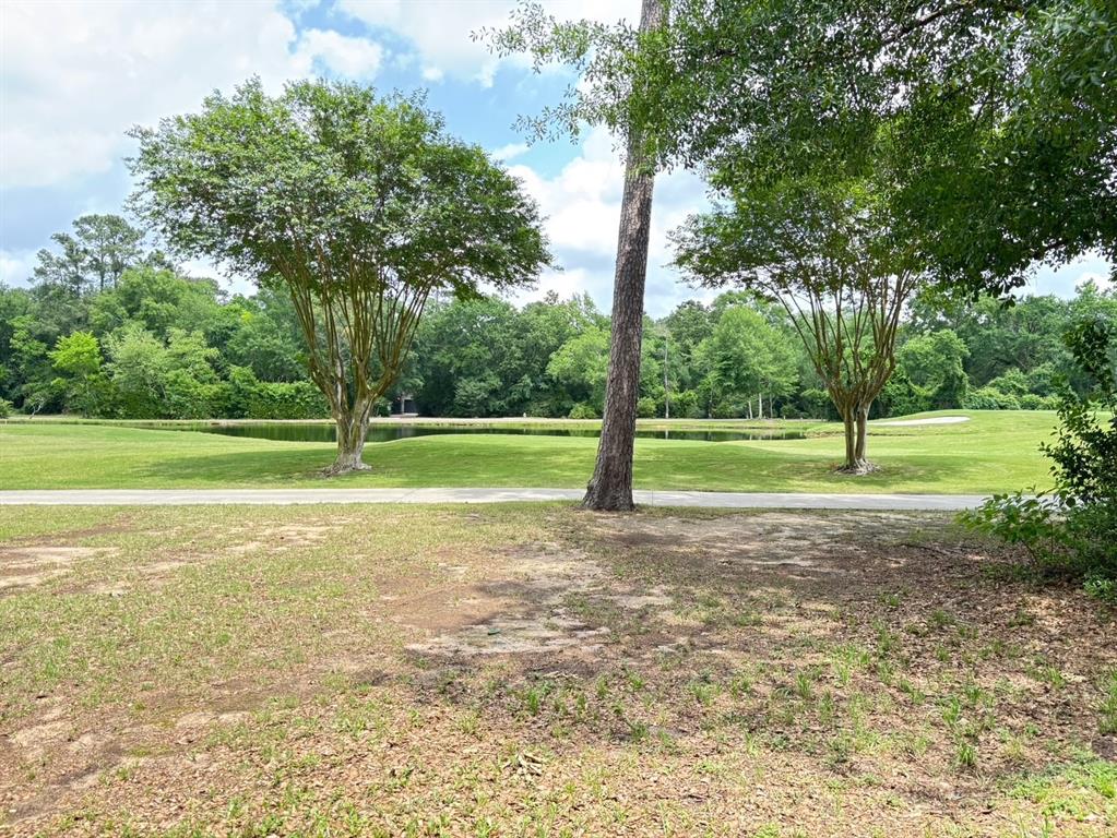 10816 Colony Wood Place, Spring, Texas image 2