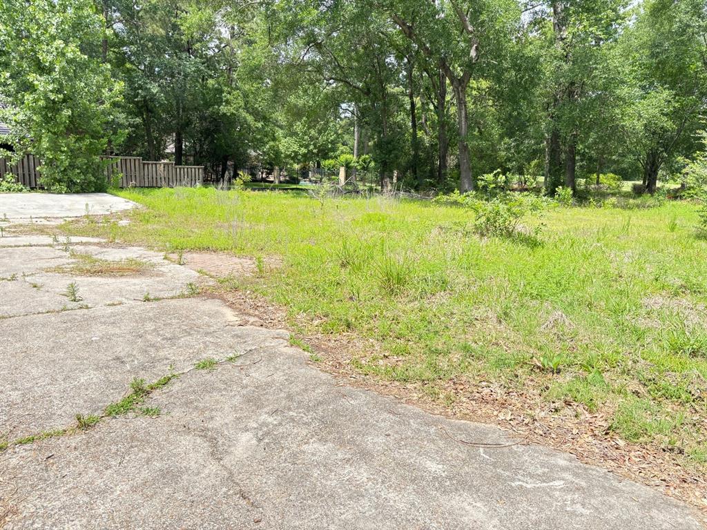 10816 Colony Wood Place, Spring, Texas image 3
