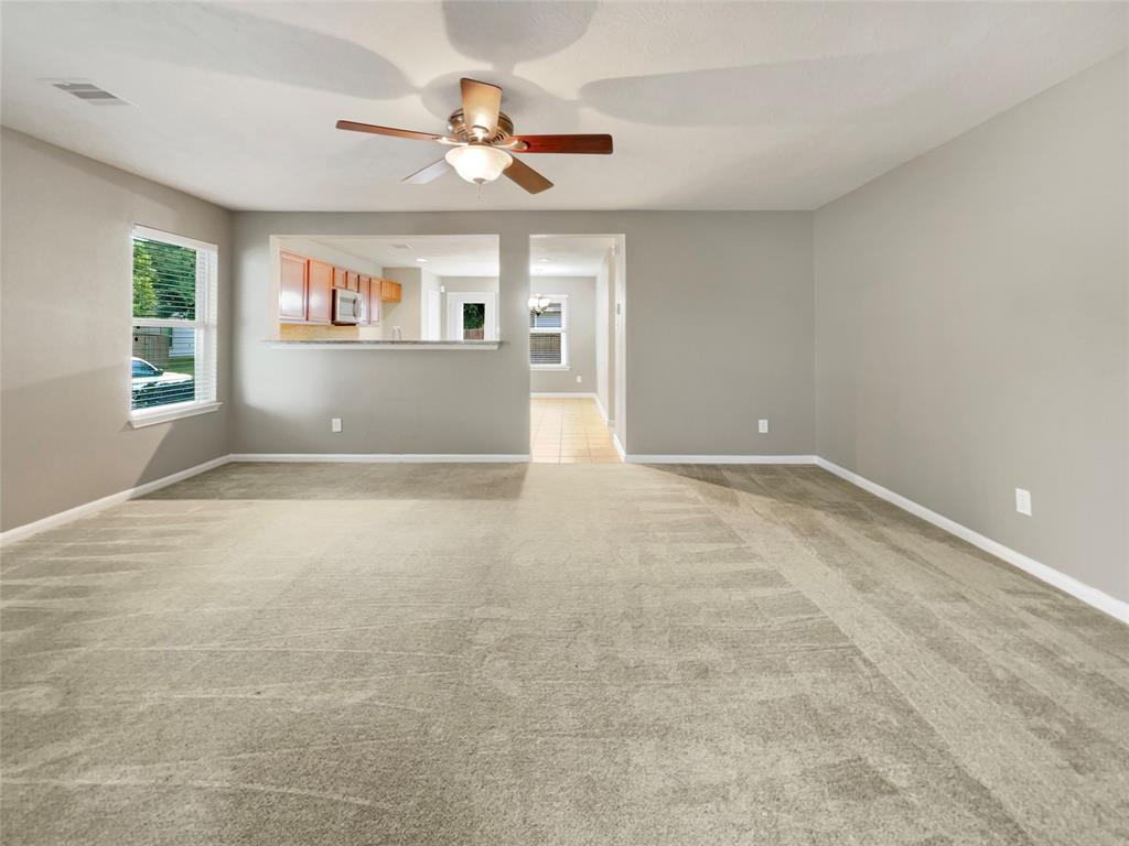 251 Silky Leaf Drive, Houston, Texas image 3