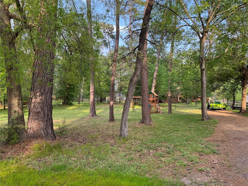 Hickory Knoll, Willis, Texas image 3