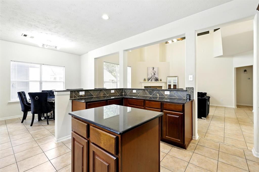 30615 Winlock Trails Drive, Spring, Texas image 15