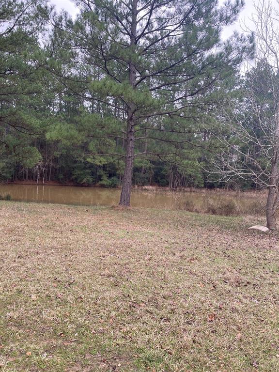 TBD West Lake Dr, Huntsville, Texas image 6