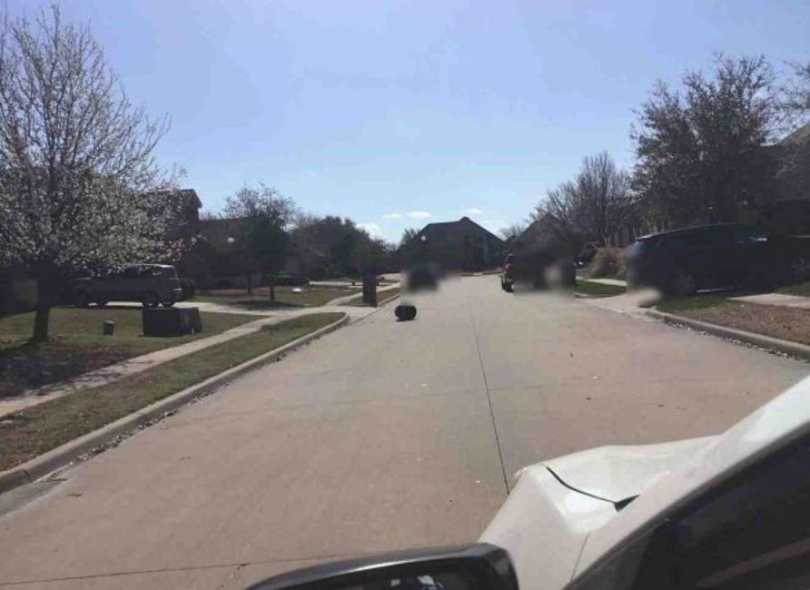 1139 Hickory Park, Forney, Texas image 14