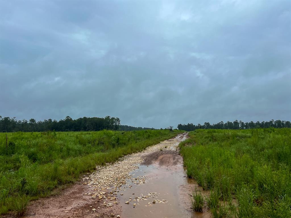 2 Fm 1276, Dallardsville, Texas image 8