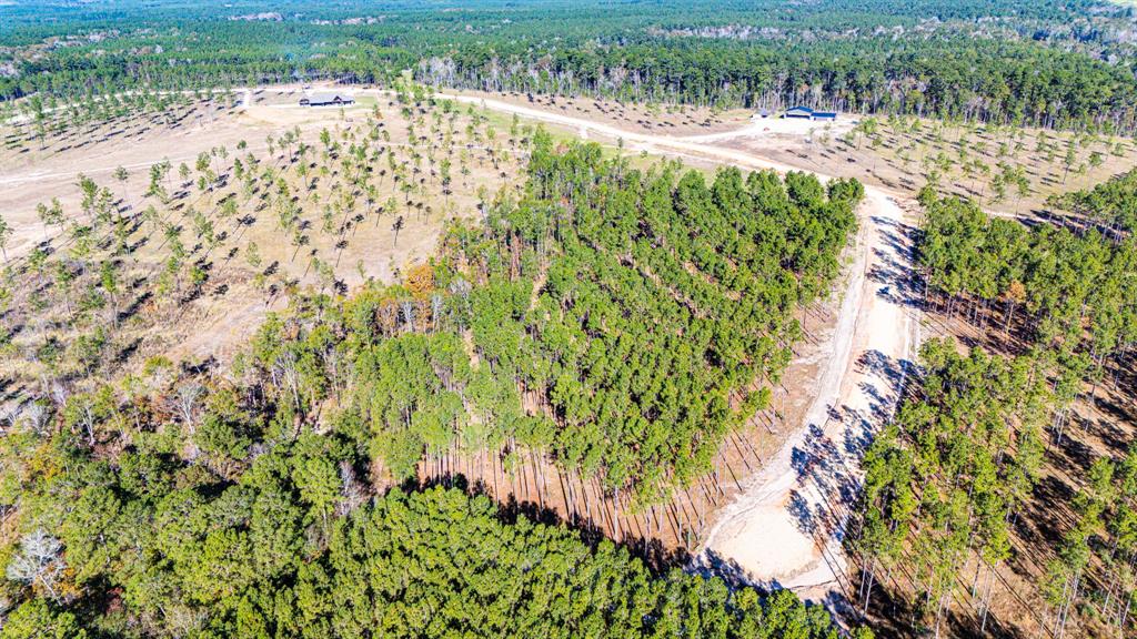 00913 Big Buck Drive, Moscow, Texas image 7