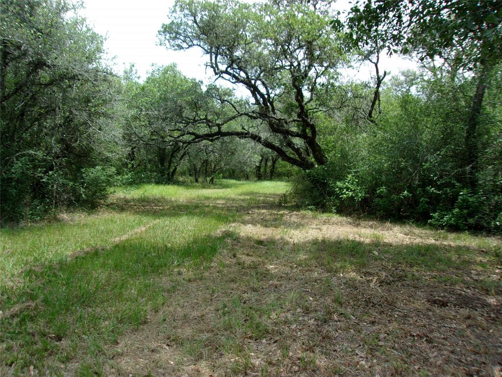 2336 Us Hwy 90a Hwy, Rock Island, Texas image 5