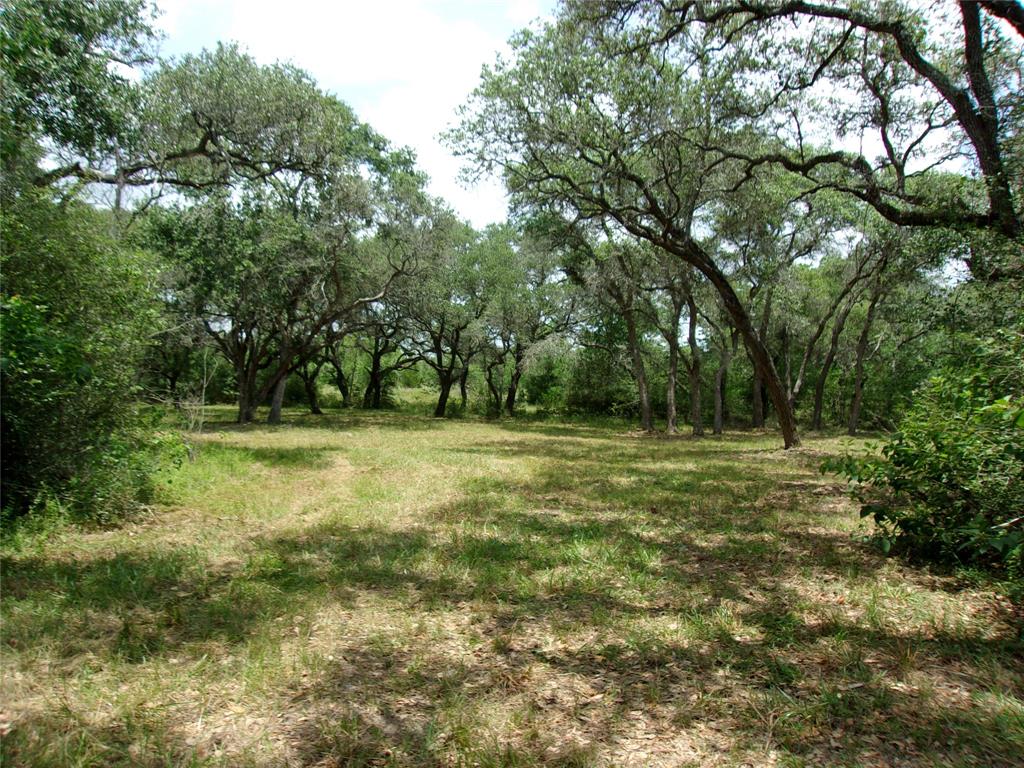 2336 Us Hwy 90a Hwy, Rock Island, Texas image 11