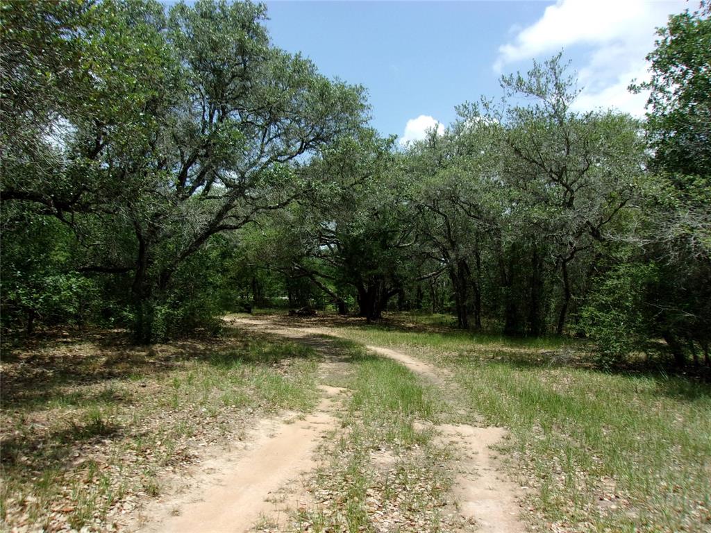 2336 Us Hwy 90a Hwy, Rock Island, Texas image 20